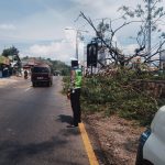 Foto Anggota Polsek CicalengkaSaat Pengaman Arus Yang Sempat Macet Akibat Pohon Tumbang.